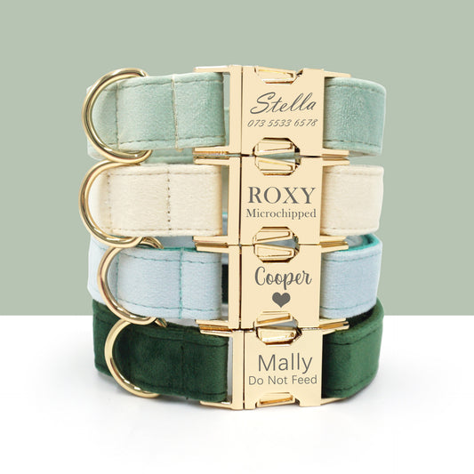 Velvet pet collars, laser-engraved, customizable